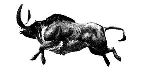 Buffalo Horns running. Animal seamless looping animation. 2d motion graphics.