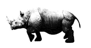 Rhino. Animal seamless looping animation. 2d motion graphics.