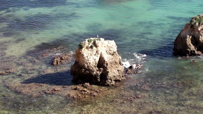 Sea Bird Sitting On A Limestone Rock Off The Coast Of Portimao, Faro, Algarve, Portugal; Static Birds Eye View.