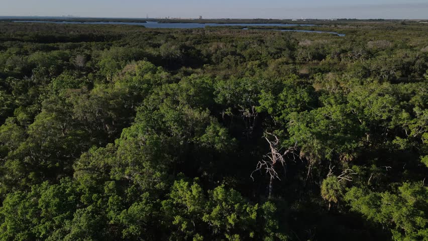 Aerial heading to Williams Bayou, Terra Ceia state park Palmetto, Florida