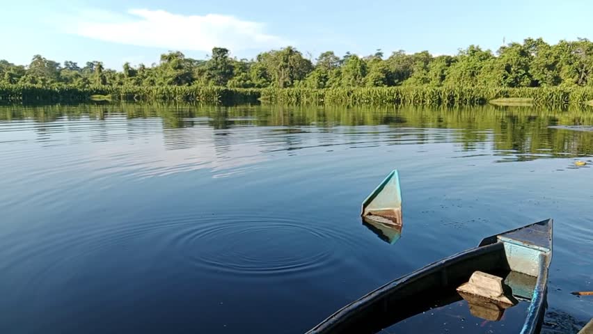 natural views of calm lakes and broken wooden shipwrecks