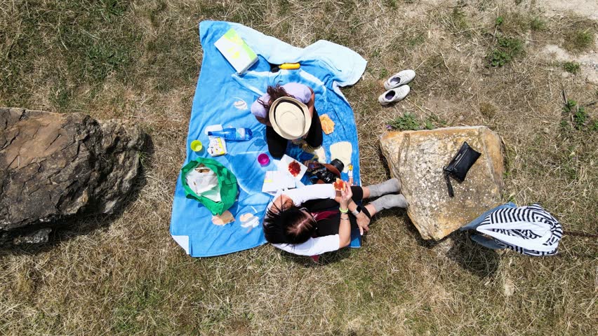 A family picknicking on a meadow, overhead view