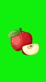3d Fruit floating on green screen chroma key background. Ultra high definition, 4k vertical video animation