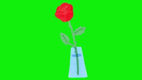 Animation loop video cactus on green screen background ,remove blue screen background on your video editing software