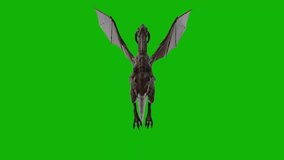 Dragon Flying top quality green screen backgrounds, The video element of on a green screen background, Ultra High Definition, 4k video, on a green screen background.