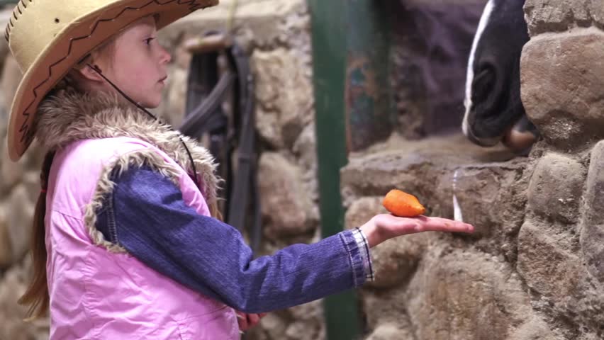 little girl feeds a horse in the stable