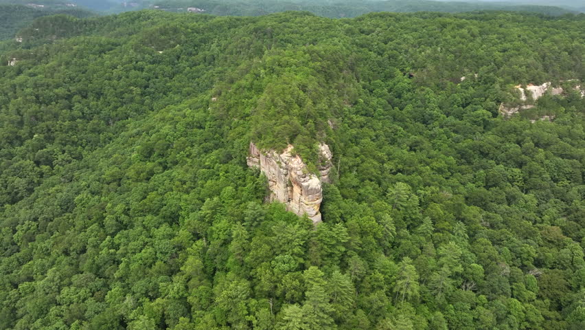 flying drone over kentucky forest