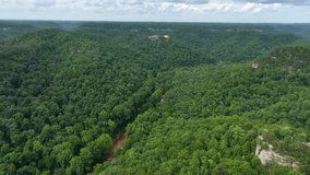 flying drone over kentucky forest