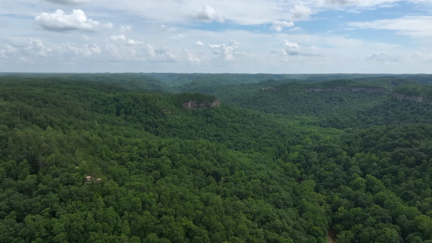 flying drone over kentucky forest