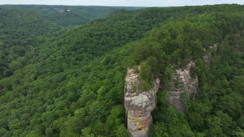 flying drone over kentucky forest