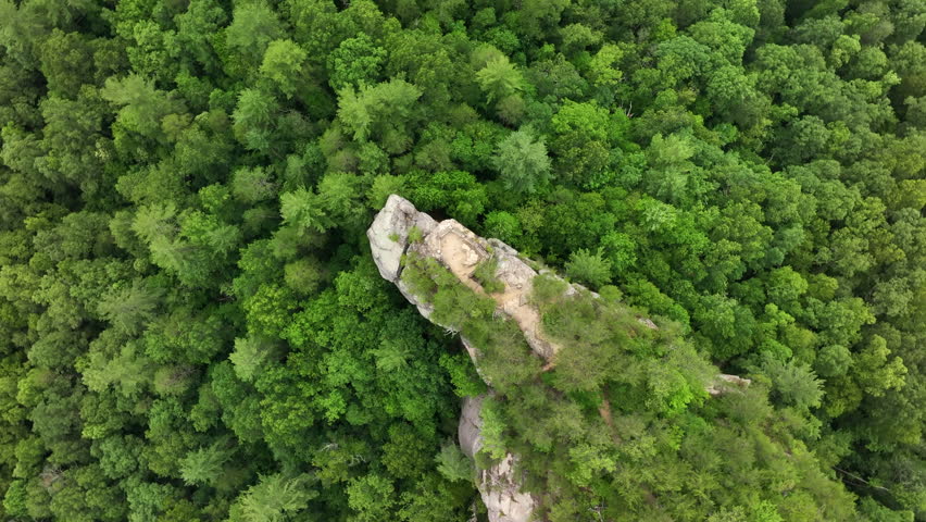 flying drone over kentucky forest