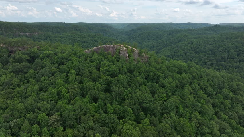 flying drone over kentucky forest