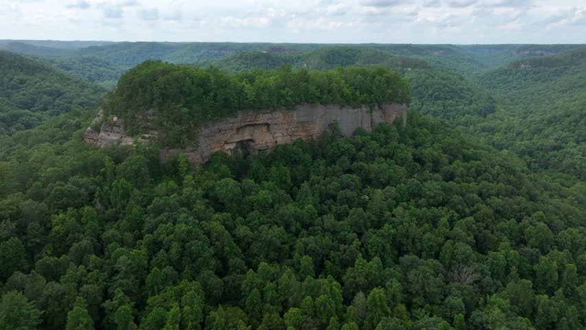 flying drone over kentucky forest