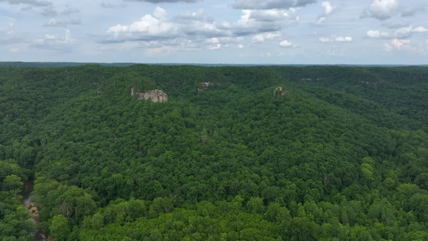 flying drone over kentucky forest