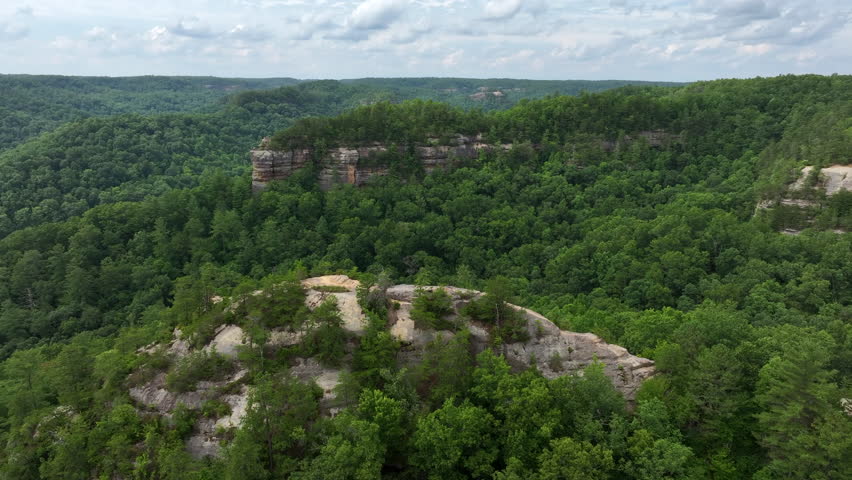 flying drone over kentucky forest