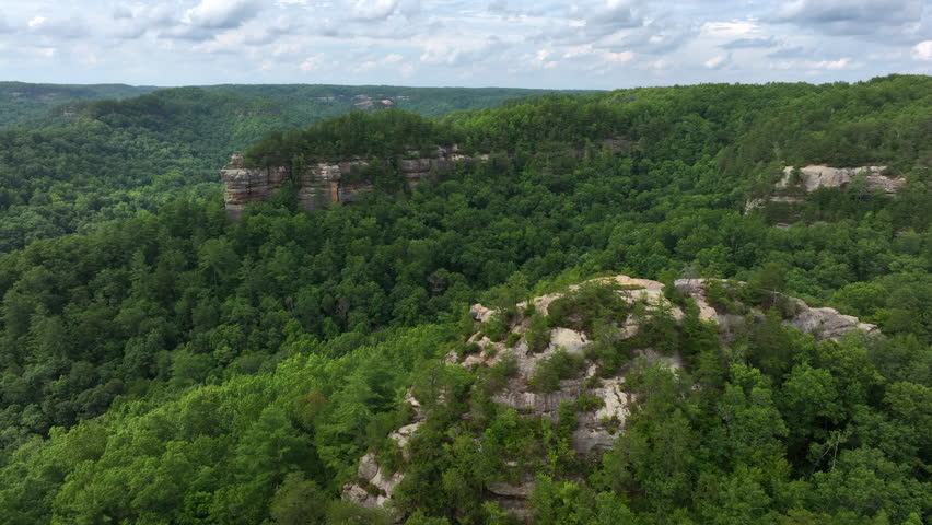 flying drone over kentucky forest