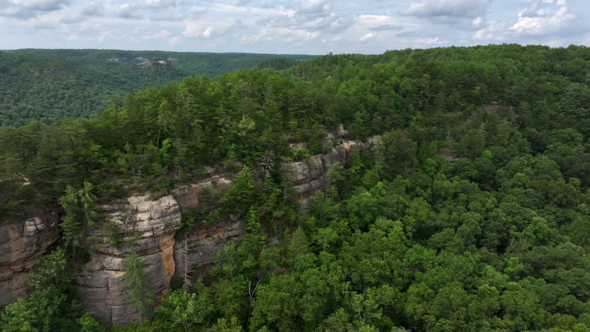 flying drone over kentucky forest