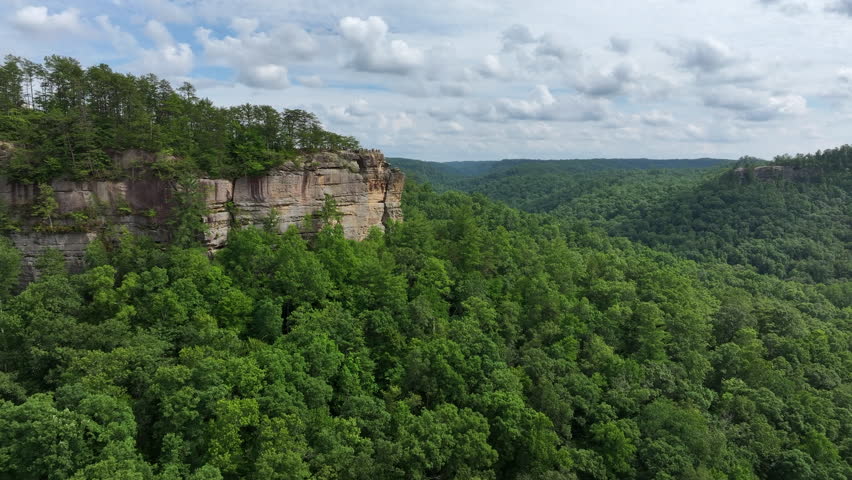 flying drone over kentucky forest