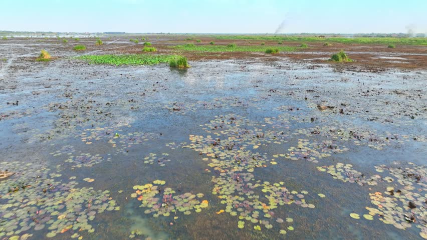 A landscape partly submerged, where wetlands host clusters of aquatic vegetation amidst scattered grassy plots. Nature