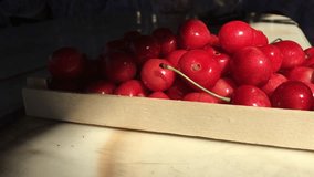 4K cherry in a box macro video