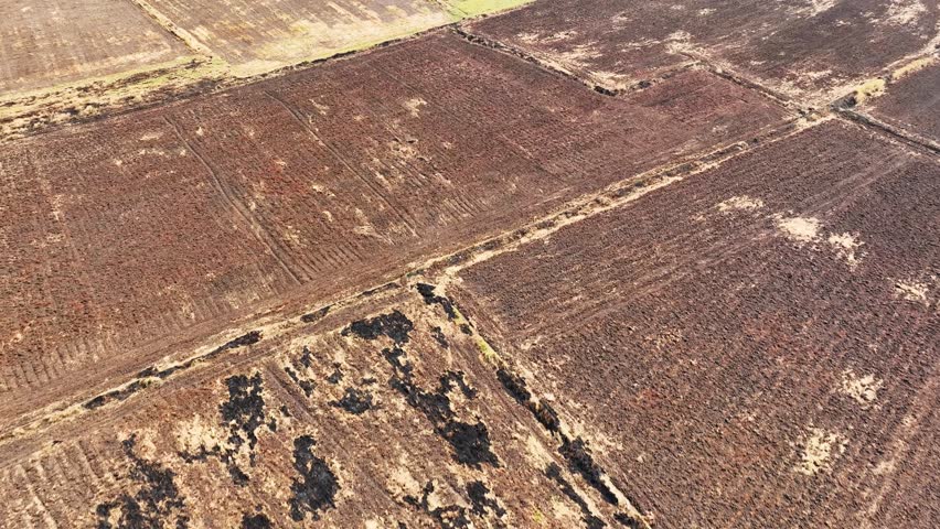 A tapestry of desolation and effort, where scorched earth meets struggling vegetation, telling a story of relentless toil under unforgiving skies. A testament to human perseverance amidst adversity.
