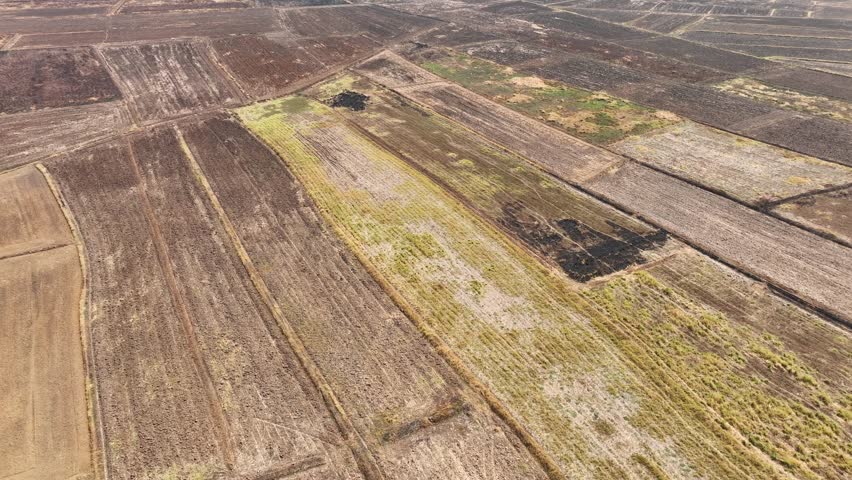 Dry fields, a patchwork of toiled earth, depict the relentless battle against drought in agriculture, where each barren patch tells a story of resilience and adaptation in the face of adversity.

