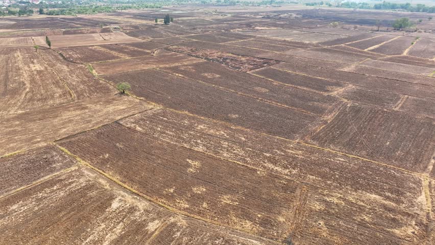 A harsh terrain, scorched and parched, bearing witness to nature's wrath. Darkened earth and sparse, withered grass hint at a struggle for survival against unforgiving elements.
