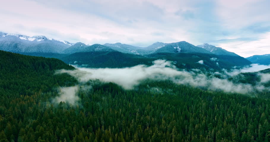 Clouds over forest of Mount Rainier park. Mountain american nature with clouds.