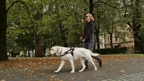 Confident smiling woman with visual impairment walking with her guide dog, an assistant for safety mobility along city streets, tracking shot. - Powered by Shutterstock - Get 15% off with code: PIKWIZARD15