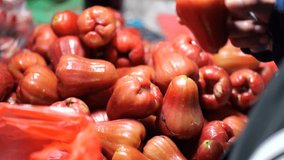 a Indonesian  hand is picking water apple or Syzygium samarangense at tarakan traditional market - Powered by Shutterstock - Get 15% off with code: PIKWIZARD15