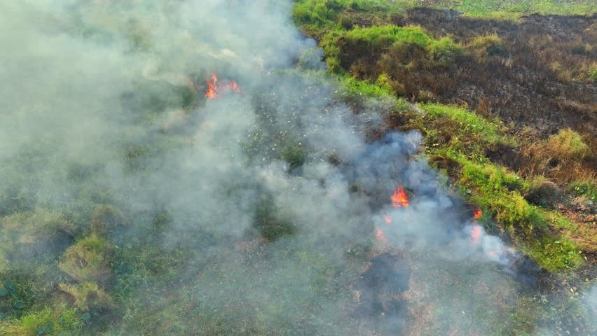 The aerial vista reveals a wetland marred by wildfire; flames lick through lush greenery amid scorched earth, a poignant visual of nature's struggle against global warming.

