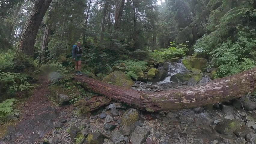 Woman Crosses Broken Log and Climbs Into Foggy Forest in Mount Rainier National Park