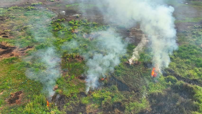 Behold from aloft, a scene of contrast, tendrils of smoke rise from a wildfire, while resilient pockets of greenery defiantly cling to life amidst the charred landscape.
