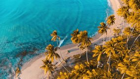 Aerial view of an exotic beach with coconut trees and turquoise ocean on a paradise island. Calm summer holiday or festive landscape. Summer vacation and tropical beach concept in the Caribbean. - Powered by Shutterstock - Get 15% off with code: PIKWIZARD15
