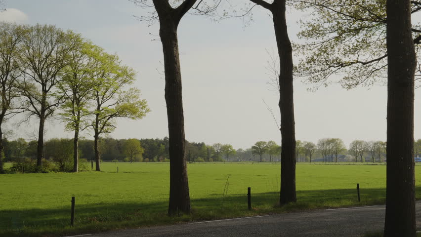 Train seen from a distance passing through Hessum, a hamlet in Dalfsen, Overijssel, the Netherlands.