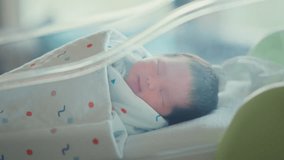 Cute little Asian newborn baby lying in bassinet in a maternity hospital, Healthcare, Pregnancy and motherhood concept - Powered by Shutterstock - Get 15% off with code: PIKWIZARD15