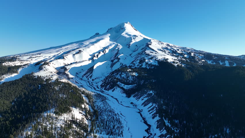 Surrounded by extensive forest, Mount Hood is lit by early morning sunlight. This impressive stratovolcano is often covered by snow and lies not far from Portland, Oregon.