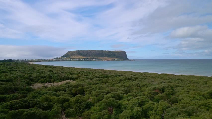Drone view over coast vegetation and white sand beach with The Nut on horizon near Stanley, Tasmania, Australia