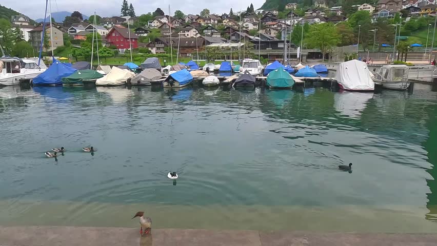 Beautiful harbor city Spiez is a small town on Lake Thun. Located on the southern coast, just 18 km from Interlaken.