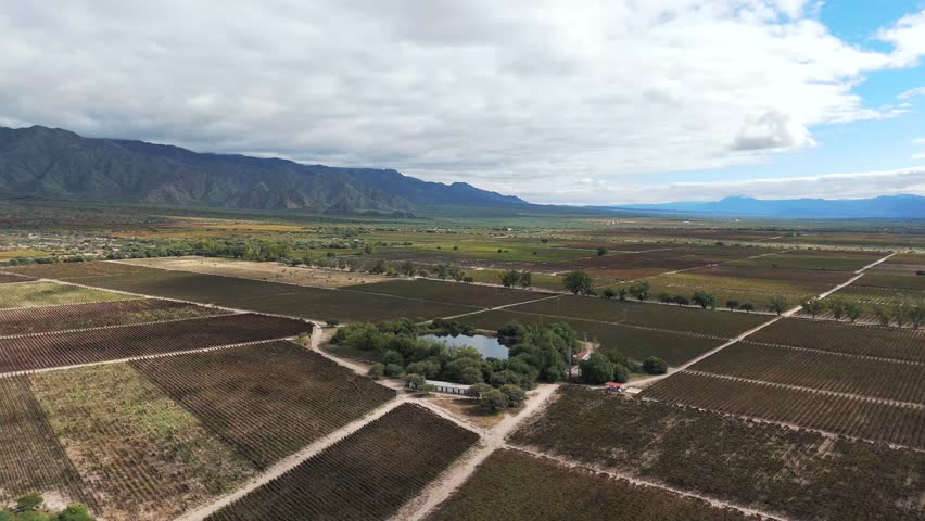 Aerial perspective captures the beauty of Torrontés and Malbec vineyards in the prestigious wine-growing area known for its high-altitude terroir. Cafayate, Salta, Argentina.