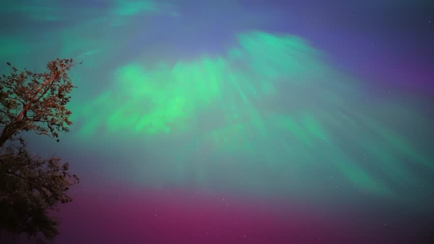 Colorful northern lights, Purple and green aurora, northern Lights over tree line, Aurora borealis polar lights set. Glowing in sky different shapes and color northern lights, Summer aurora on lake