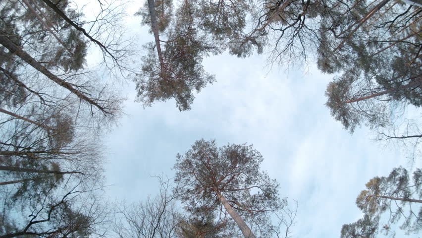 SLOW MOTION, BOTTOM UP: Biker flies among treetops while riding down snowy trail. Adrenaline seeking rider performs an amazing and stylish trick on jump while speeding down the mtb trail through woods