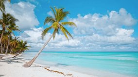 Sunny beach on the Maldives island against a cloudy sky. Luxury travel concept for resort and hotel. Ideal beach scene, palm trees, blue sky and calm sea water with soft waves. Exotic summer holidays.