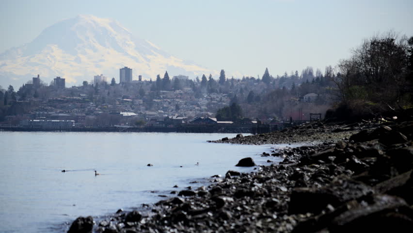 Beach View of Mount Rainier from Port of Tacoma