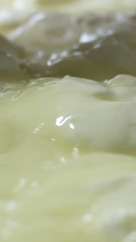 cheese factory preparing yoghurt, pumpkin cheese, Caciocavallo mozzarella and other types of cheeses