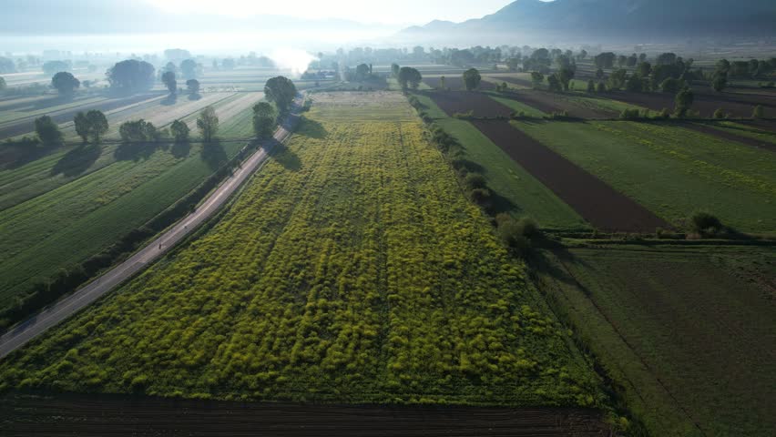 Colorful Agricultural Parcels in a Beautiful Morning with Spring Hues Adorning the Sown Fields, Copy Space