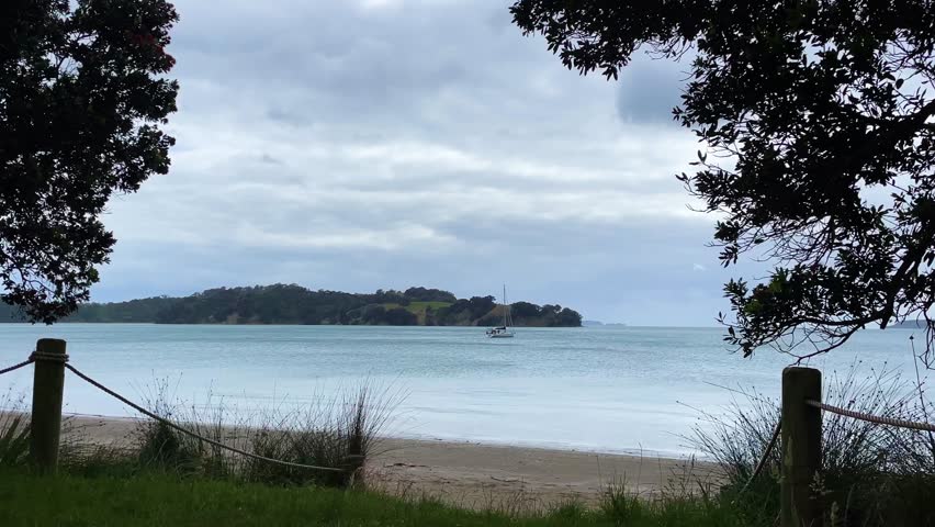 View from grassy, sandy shoreline of a sailboat sailing off in the bay, New Zealand