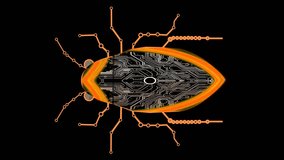 Futuristic digital orange Bug wiggle and mirco processer circuit on the black screen - Powered by Shutterstock - Get 15% off with code: PIKWIZARD15