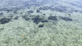 Clear water of Sea in Karampuang Island in Mamuju, West Sulawesi, Indonesia