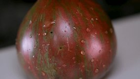 Close up Black Prince tomatoes vegetable background. Top view. Blurry at the beginning is focused at the end. Tomatoes from own garden, harvesting. High quality 4k footage